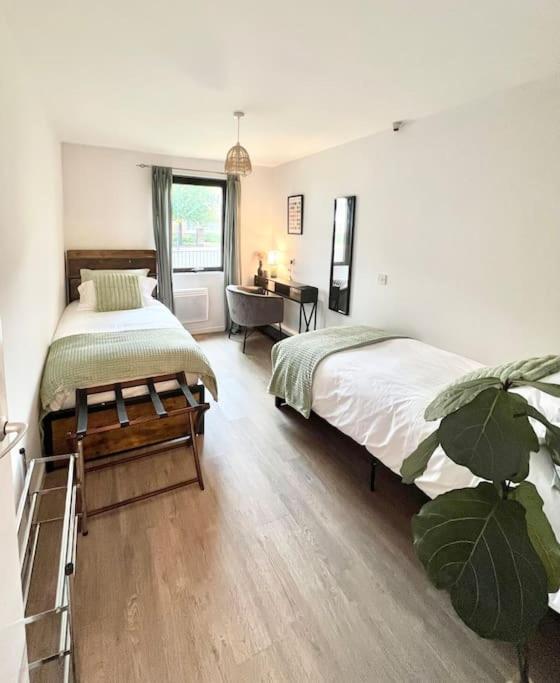 Gorgeous Flat 10 Min Walk To Stadium Free Parking London Eksteriør billede